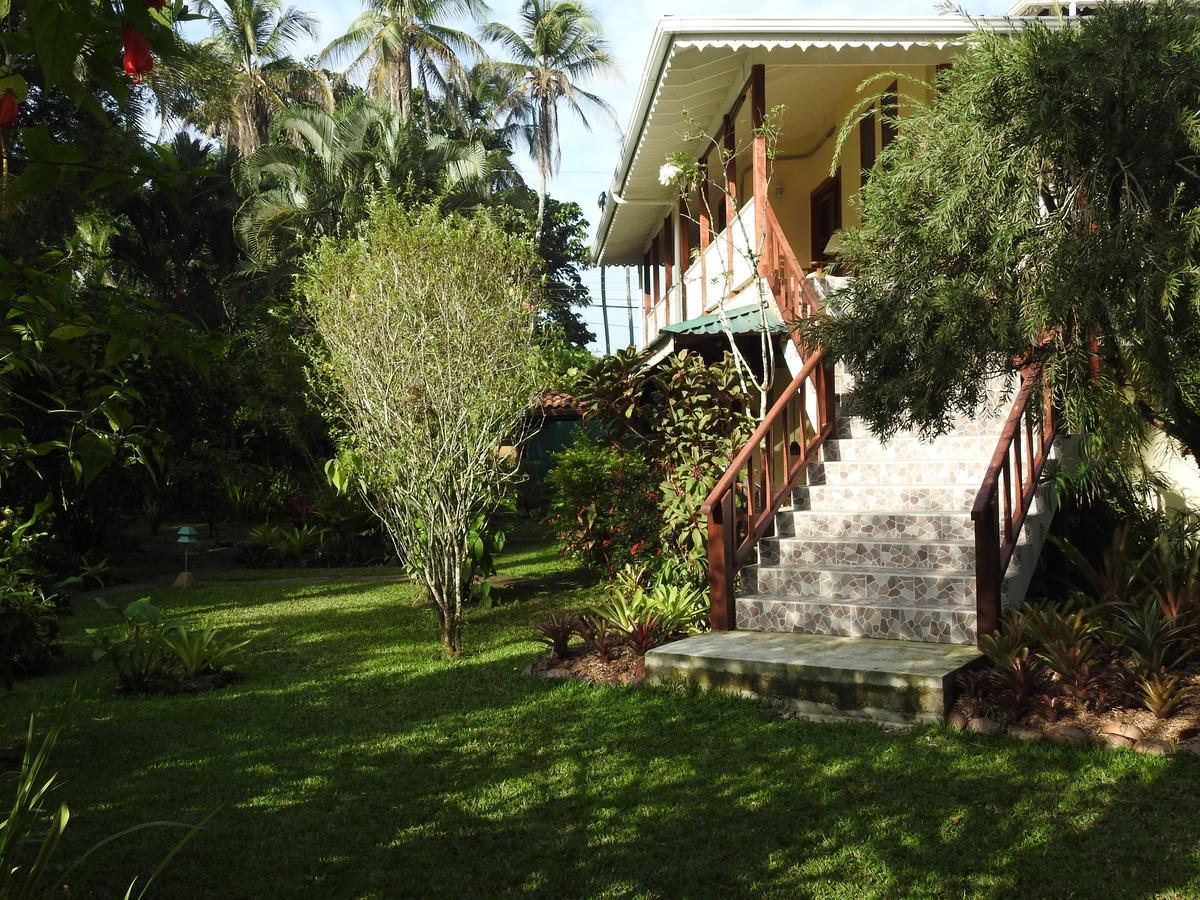 Playa Negra Guesthouse Cahuita Buitenkant foto