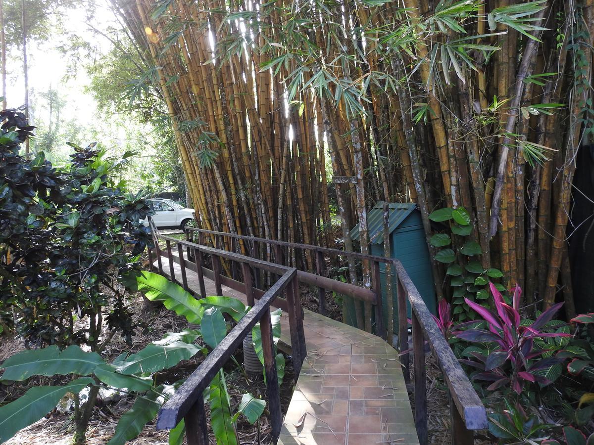 Playa Negra Guesthouse Cahuita Buitenkant foto