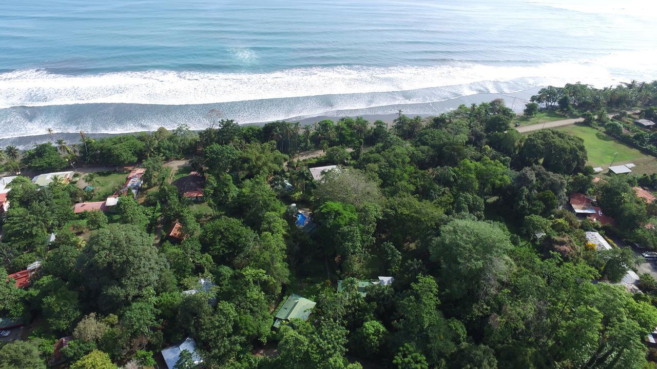 Playa Negra Guesthouse Cahuita Buitenkant foto